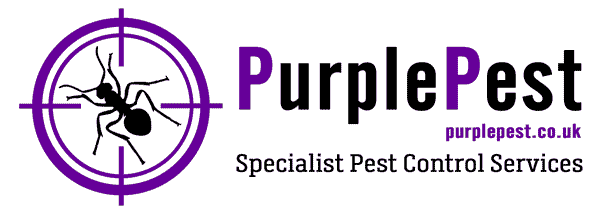 {PurplePest} {PurplePest Pest Control}